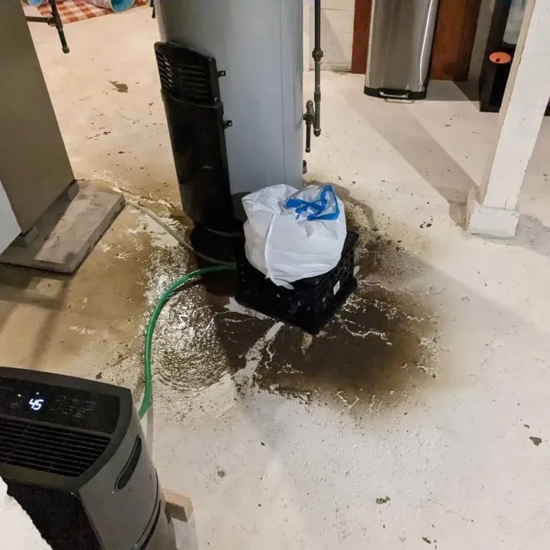 Sewage Backup Cleanup Service in Baxter, TN